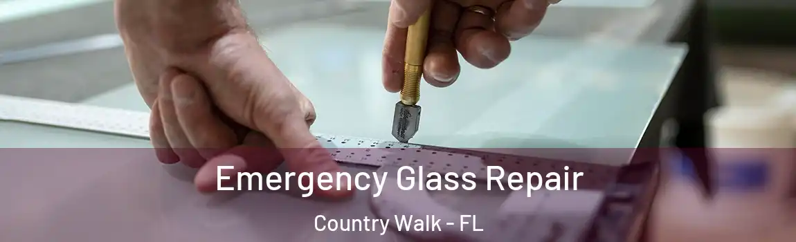 Emergency Glass Repair Country Walk - FL