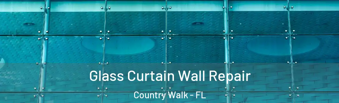 Glass Curtain Wall Repair Country Walk - FL