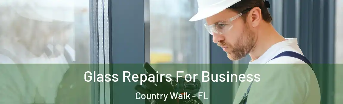 Glass Repairs For Business Country Walk - FL