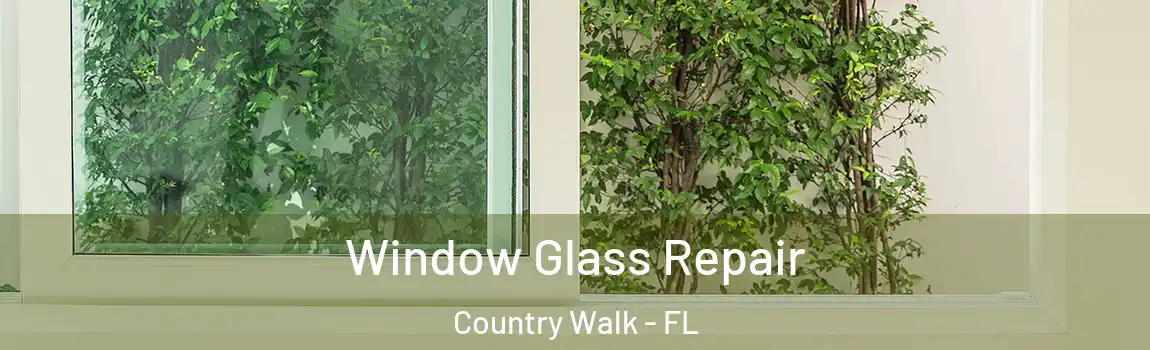 Window Glass Repair Country Walk - FL