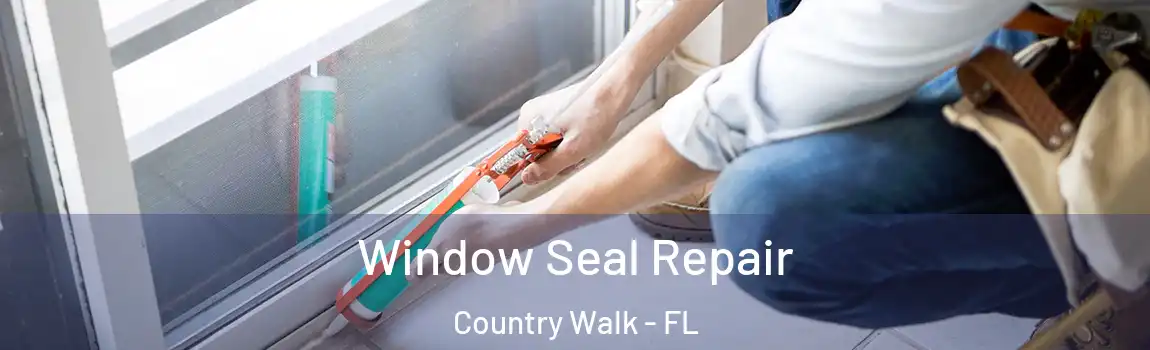  Window Seal Repair Country Walk - FL